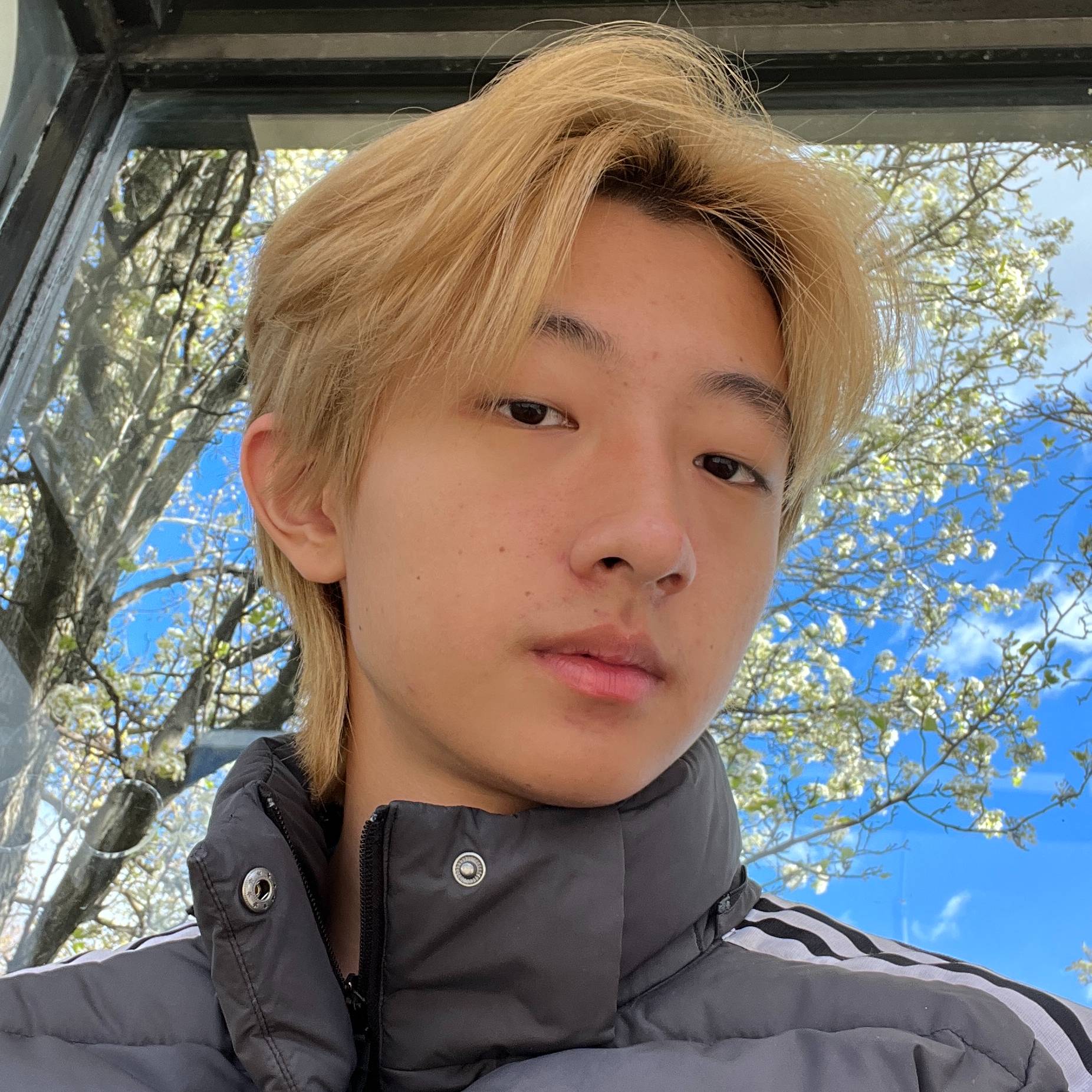 Yifan Jing
