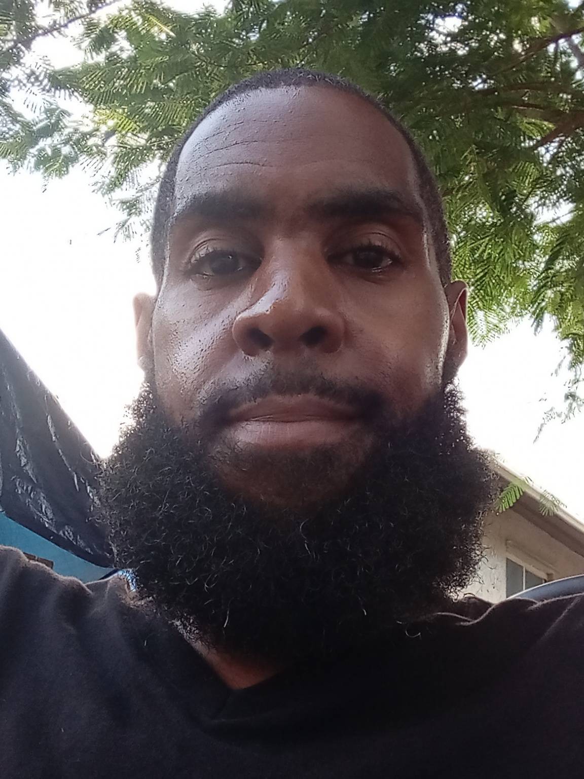 Michael Mathis