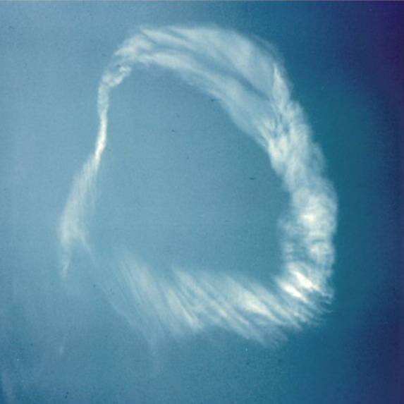 Elva Turner