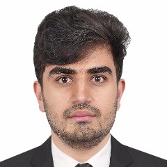 Ahmad Hamed Tayeb