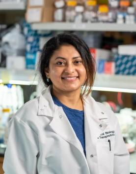 Debolina Ganguly, Ph.D. Oncology Drug Discovery