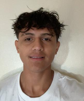 Ribaldo Sandrez