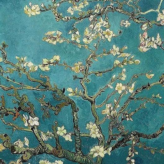Martha Trahan